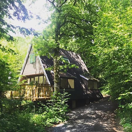 Chalet Het Hulstje Дюрбюи Экстерьер фото