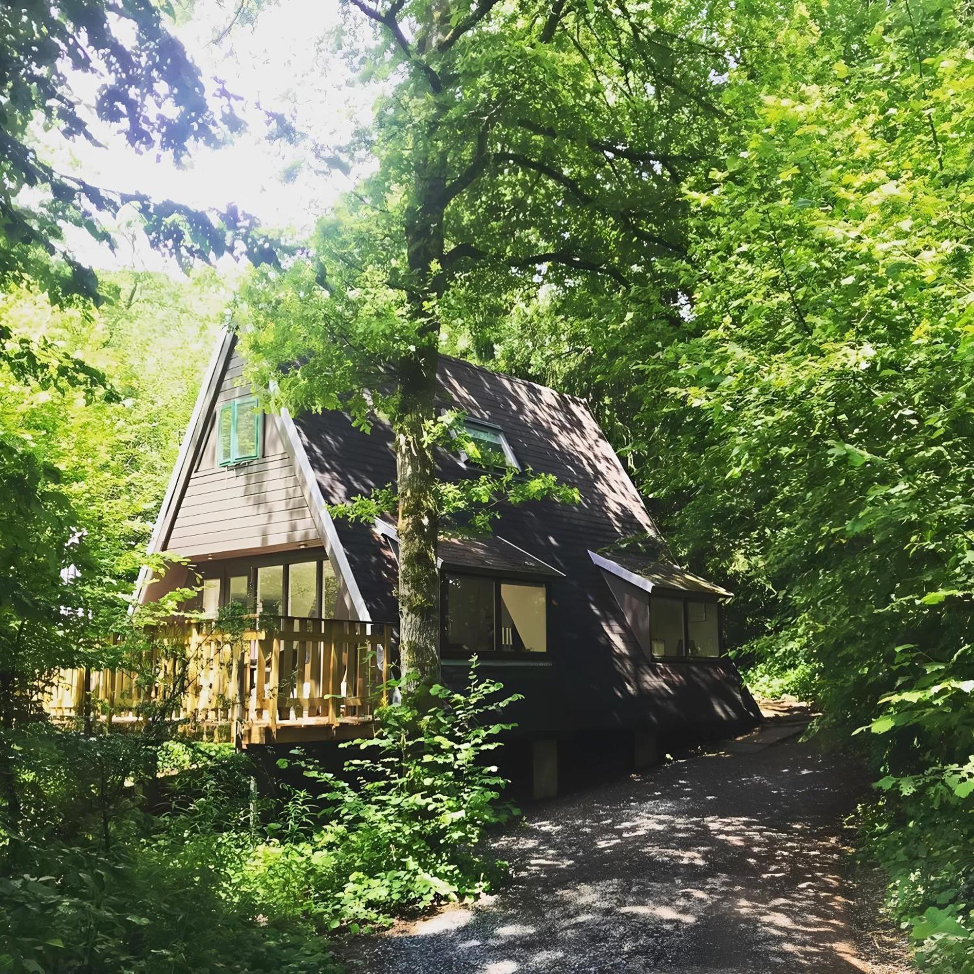 Chalet Het Hulstje Дюрбюи Экстерьер фото